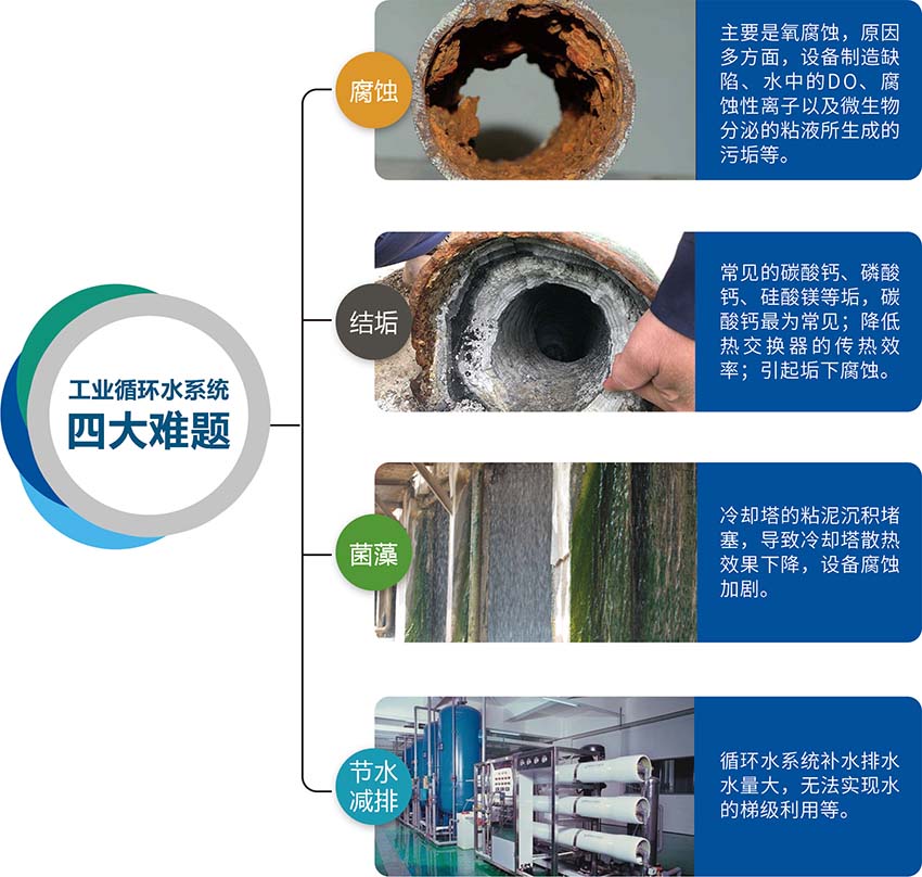 1717253256489.jpg zu30.jpg