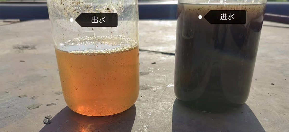 1717258022729.jpg jcs.jpg