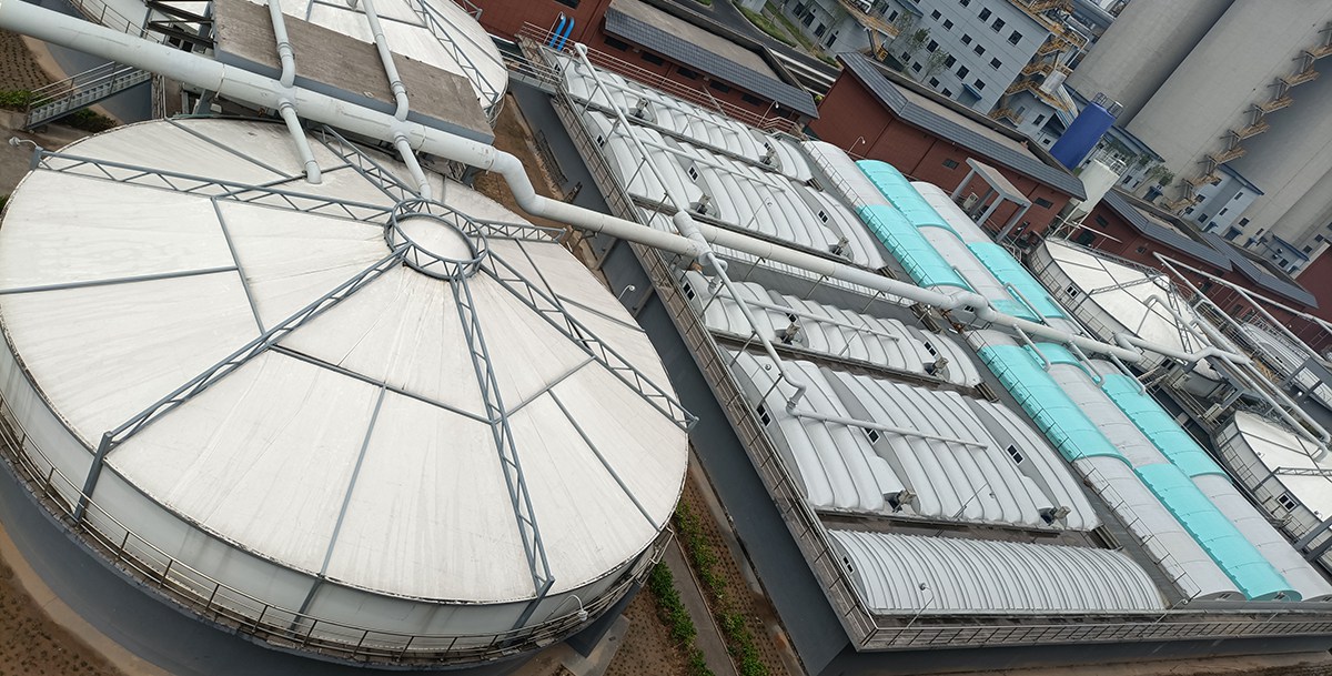 1717325219976.jpg IMG_20220622_132934.jpg