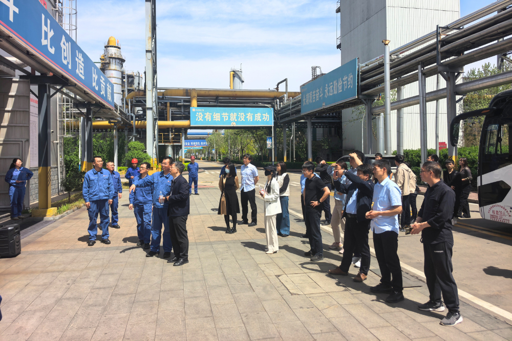 1744882079565.png 未命名的設計 (29).png